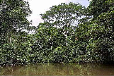 《堡垒之夜》与TGA合作开放年度岛屿评选活动